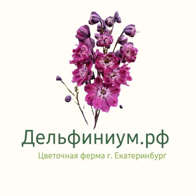 Дельфиниум.рф